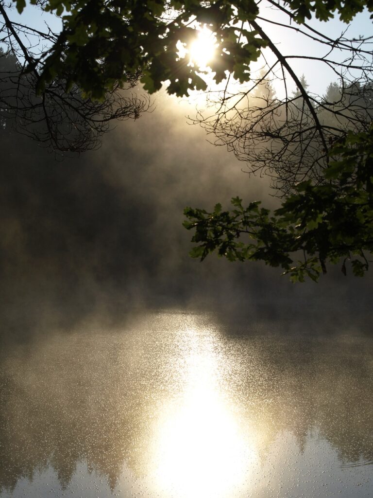 pond, surface, lake-1043221.jpg